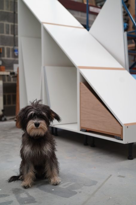 A small dog sits in front of white shelving under construction.